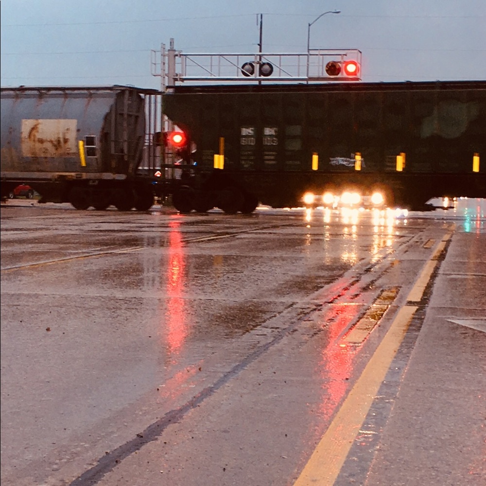 Meet your Posher, Lillie